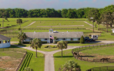 When Stars Collide: A Trio of Winter Equine Clinics