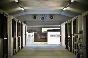 Stables at Bo-Bett Farm