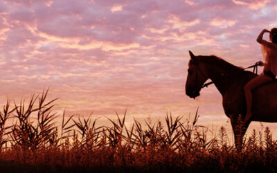 Marion County, Florida | Past and Present