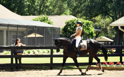 Ocala Downs Block Party