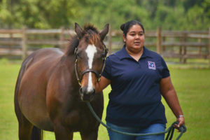 Woman walking with horse