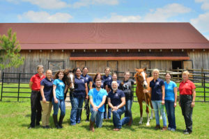 People with a horse at Vintage Farm