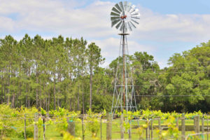 Windmill on Vintage Farm