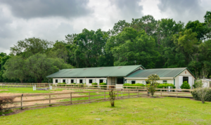 A barn at a horse farm.