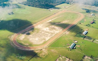 The Florida Mile | A Pristine Horse Farm in Williston, Florida