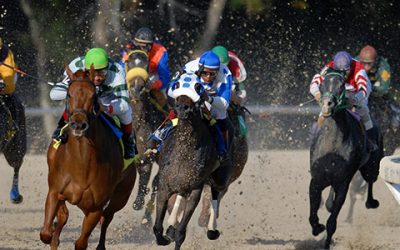 Everything You Need to Know About the 2020 Belmont Stakes