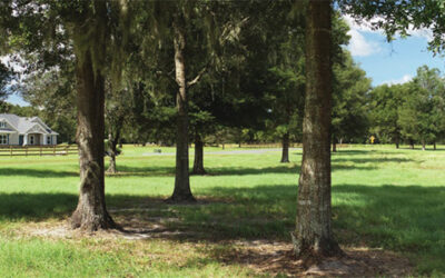 Build Your Dream Home | Equestrian Neighborhoods With Homesites