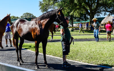 Community Spotlight | Ocala Breeders’ Sales Tom Ventura