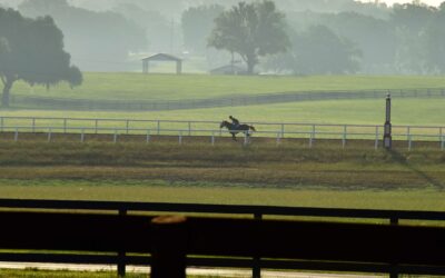 Iconic Horse Farms | Bridlewood Farm