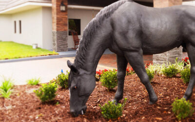 Community Spotlight | The Equus Inn