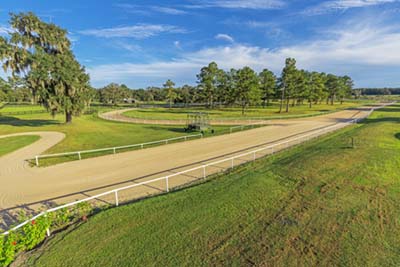 A beautiful horse track in Marion County Florida.