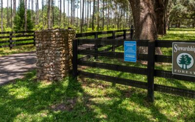 Showcasing Conservation | Inside the Sale of the Bopodo Conservation Easement