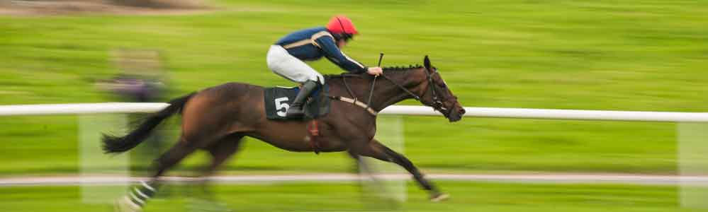 A horse running on a race track.