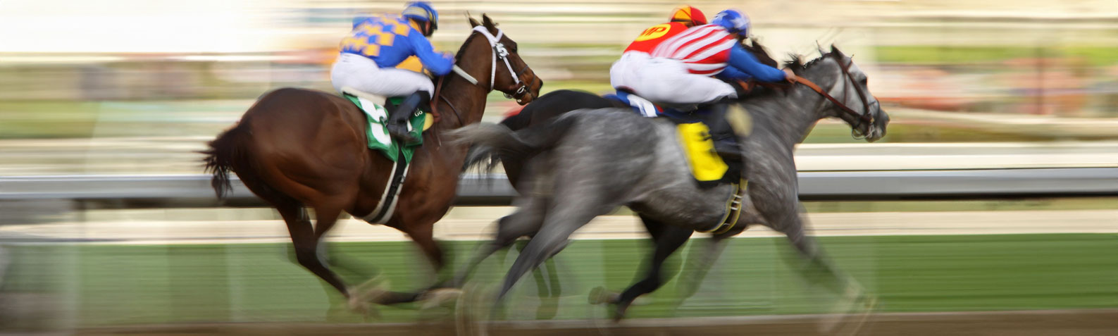 Blurred image of fast racehorses