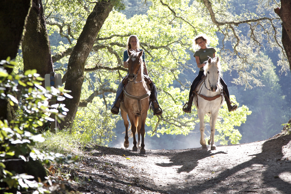 Women on horseback on a trail.