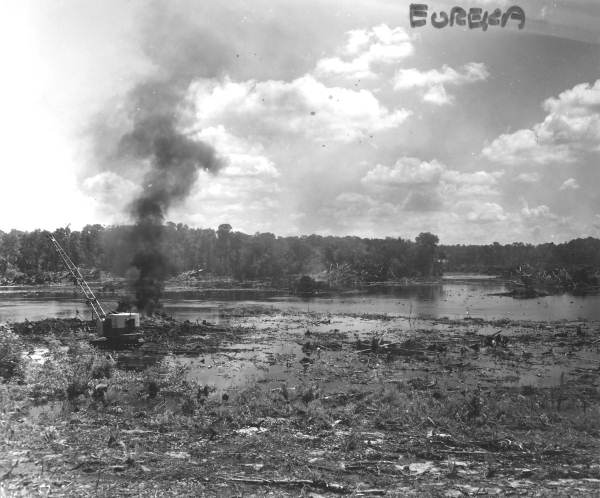 Land clearing and controlled fires - Eureka, Marion County, Florida