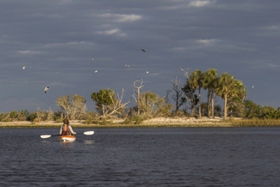 A woman kayaking in the Gulf of Mexico with sea birds flying overhead.