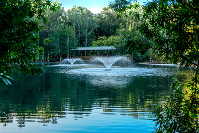 A beautiful view of the fountain at Sholom Park in Ocala, Florida