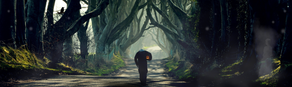 A dark figure walks along a spooky tree-lined road in Ocala, unknowingly surrounded by ghostly orbs and a spectre of a woman from long ago.